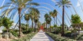 Ciutat de les Arts i les Ciencies with Umbracle modern architecture by Santiago Calatrava panorama in Valencia, Spain