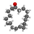 Civetone civet cat pheromone molecule. Used in perfume. Atoms are represented as spheres with conventional color coding: hydrogen