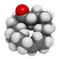 Civetone civet cat pheromone molecule. Used in perfume. Atoms are represented as spheres with conventional color coding: hydrogen