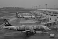 Civil airplanes docking in Changi Airport, Singapore