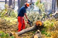 Civil Engineer saws branch felled by Hurricane Katrina