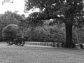 Civil War Cannon in a field Royalty Free Stock Photo