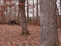 A Civil War Cannon from Gettysburg, Pennsylvania