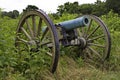 Civil War Cannon