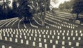 Civil War Cemetery Louisville Kentucky