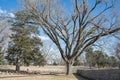 Civil War Cemetery. Royalty Free Stock Photo