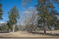 Civil War Cemetery. Royalty Free Stock Photo