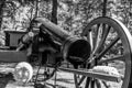 Civil War era cannon close up - monochrome