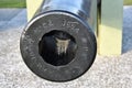 Civil war era cannon near Charleston South Carolina