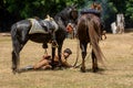 Civil war re-enactement in Duncans Mills, CA, USA Royalty Free Stock Photo