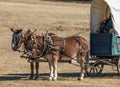 Civil War Supply Wagon Royalty Free Stock Photo