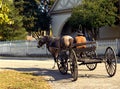 Civil War Weekend Wagon Rides
