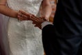 Civil wedding bride and groom holding hands wedding rings bands exchange Royalty Free Stock Photo