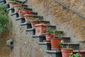 Civita Bagnoregio Italy stairs to house with vases and flowers