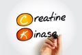 CK Creatine Kinase - enzyme expressed by various tissues and cell types, acronym text concept