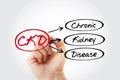 CKD - Chronic Kidney Disease acronym, medical concept background