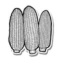 CL1164 Three Corns Royalty Free Stock Photo
