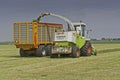 Claas chopper in meadow