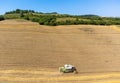 Claas combine harvesting wheat in the field