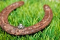 Claddagh ring and a Horseshoe Royalty Free Stock Photo