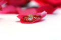 Claddagh Ring Royalty Free Stock Photo