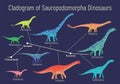 Cladogram of sauropodomorpha dinosaurs. Colorful vector illustration of diagram showing relations among sauropods - protosauropoda Royalty Free Stock Photo