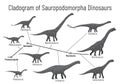 Cladogram of sauropodomorpha dinosaurs. Monochrome vector illustration of diagram showing relations among sauropods - Royalty Free Stock Photo