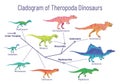 Cladogram of theropoda dinosaurs. Colorful vector illustration on white background. Diagram showing relations among Royalty Free Stock Photo