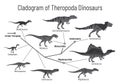 Cladogram of theropoda dinosaurs. Monochrome vector illustration on white background. Diagram showing relations among Royalty Free Stock Photo