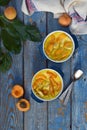 Clafouti with apricots in rameken on blue wooden background. Fruits clafoutis. Sweet casserole. Traditional French cake. Copy Royalty Free Stock Photo