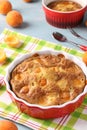 Clafoutis with apricots is a delicious French cuisine dessert. Close-up. Royalty Free Stock Photo