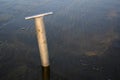 Clam gun, tool for digging razor clams, wet beach at Ocean Shores, Washington State, USA