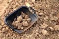 Clam-shell shaped basket with soil Royalty Free Stock Photo