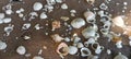 clam shells and sand in the sea Royalty Free Stock Photo