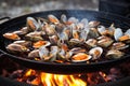 clam sizzling on a hot grill Royalty Free Stock Photo