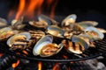 clam sizzling on a hot grill Royalty Free Stock Photo