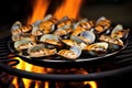 clam sizzling on a hot grill Royalty Free Stock Photo