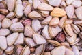 Clams background. Fresh cockles for sale at market in fish market Royalty Free Stock Photo