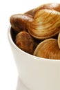 Clams in a bowl Royalty Free Stock Photo
