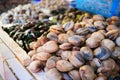 Clams on a fish market Royalty Free Stock Photo