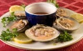 Clams on the half shell Royalty Free Stock Photo