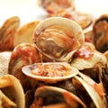 Clams in marinara sauce Royalty Free Stock Photo