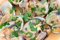 Clams with marinara sauce Royalty Free Stock Photo