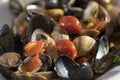 Clams and mussels Royalty Free Stock Photo