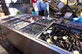 Clams and other sea food in a fish market Royalty Free Stock Photo