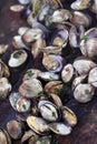 Clams and parsley