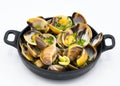 Clams cooked in a pan with parsley on a white background. Royalty Free Stock Photo