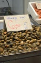 Clams for sale at Cadiz fish Market