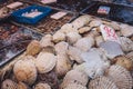 Clams, sea shells or mussels on seafood and fish market Royalty Free Stock Photo