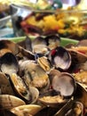 Clams in white wine sauce and garlic Royalty Free Stock Photo